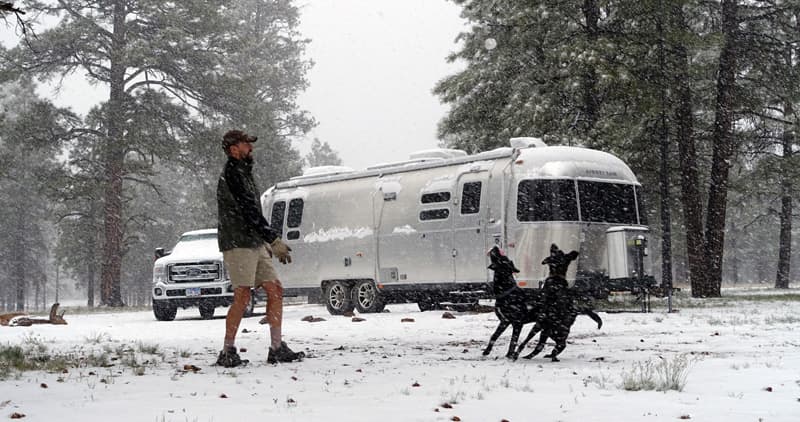 Airstream in Grand Canyon forest