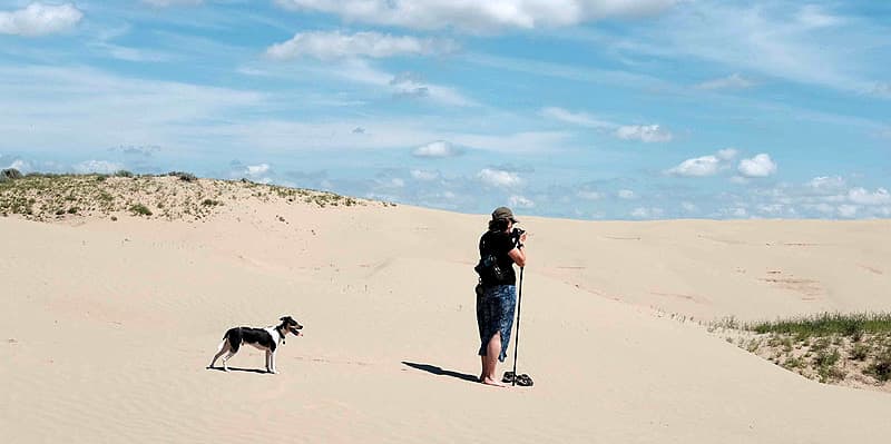 Great Sandhills Ecological Reserve, Sasketchewan