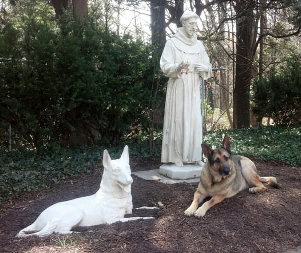 Guinness with St Francis and german shepherd