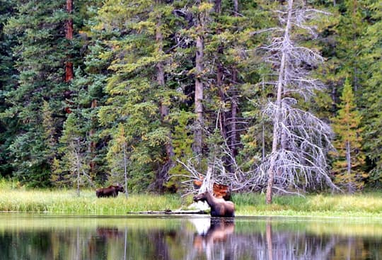 conquer-2-Campside-Lake-Colorado-BDR-Haggerman-Pass