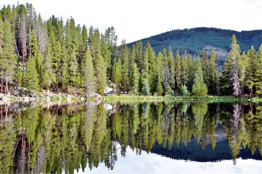 conquer-Colorado-BDR-West-of-Haggerman-Pass-Where-the-moose-were