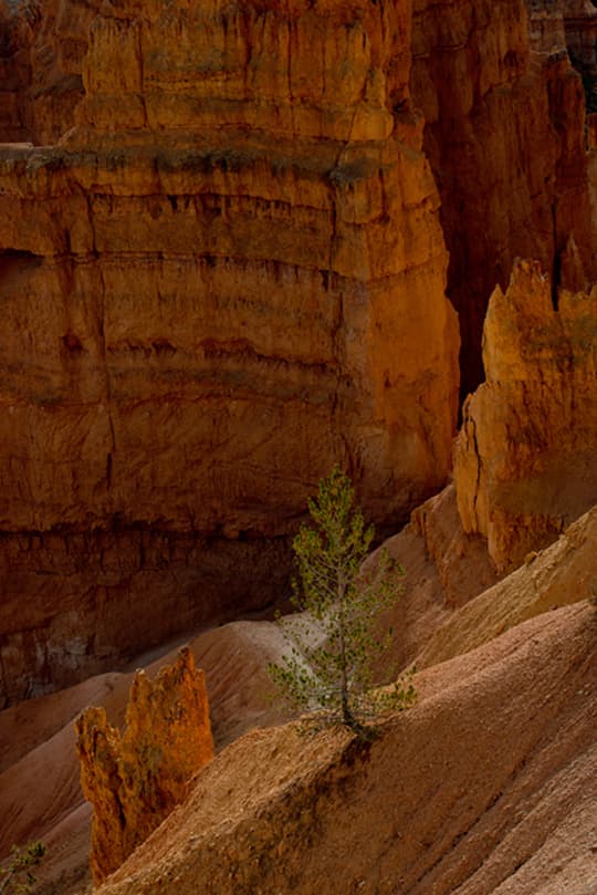 popup-rocks-red-rock-bryce-canyon