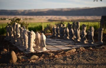 Vineyard Camping Chess Board