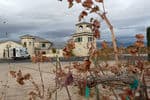 Harvest-Hosts-Winery-camping-3-Nevada