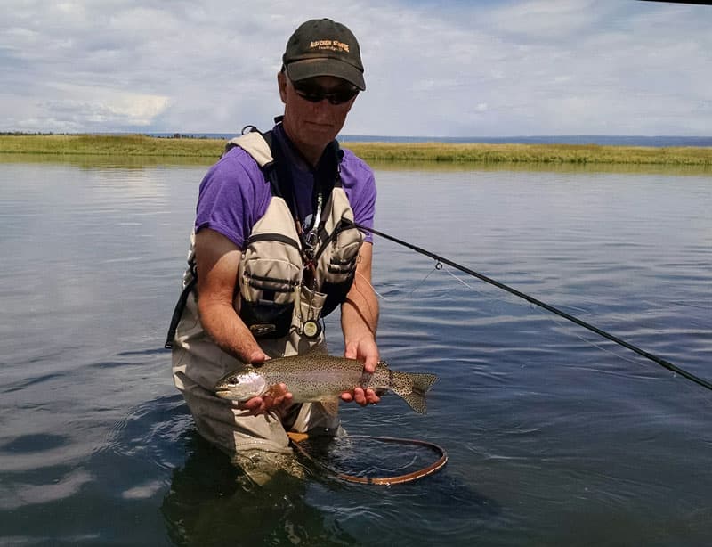 Henrys Fork Of The Snake River In Eastern Idaho Rainbow Trout