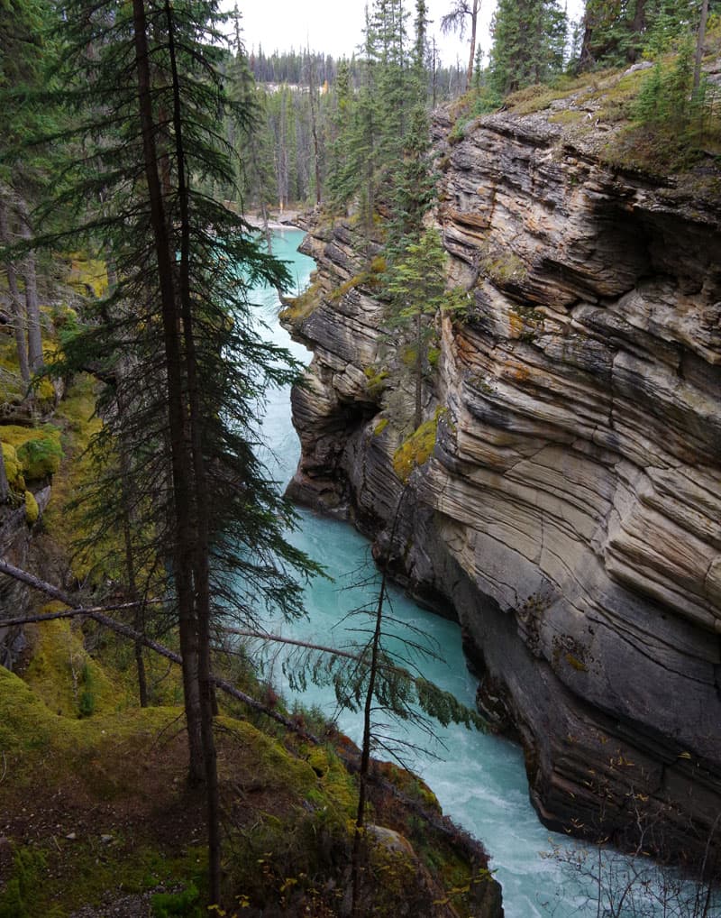 Icefields Parkway at Athabasca falls