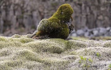 Iceland-scenery-natural-sculptur