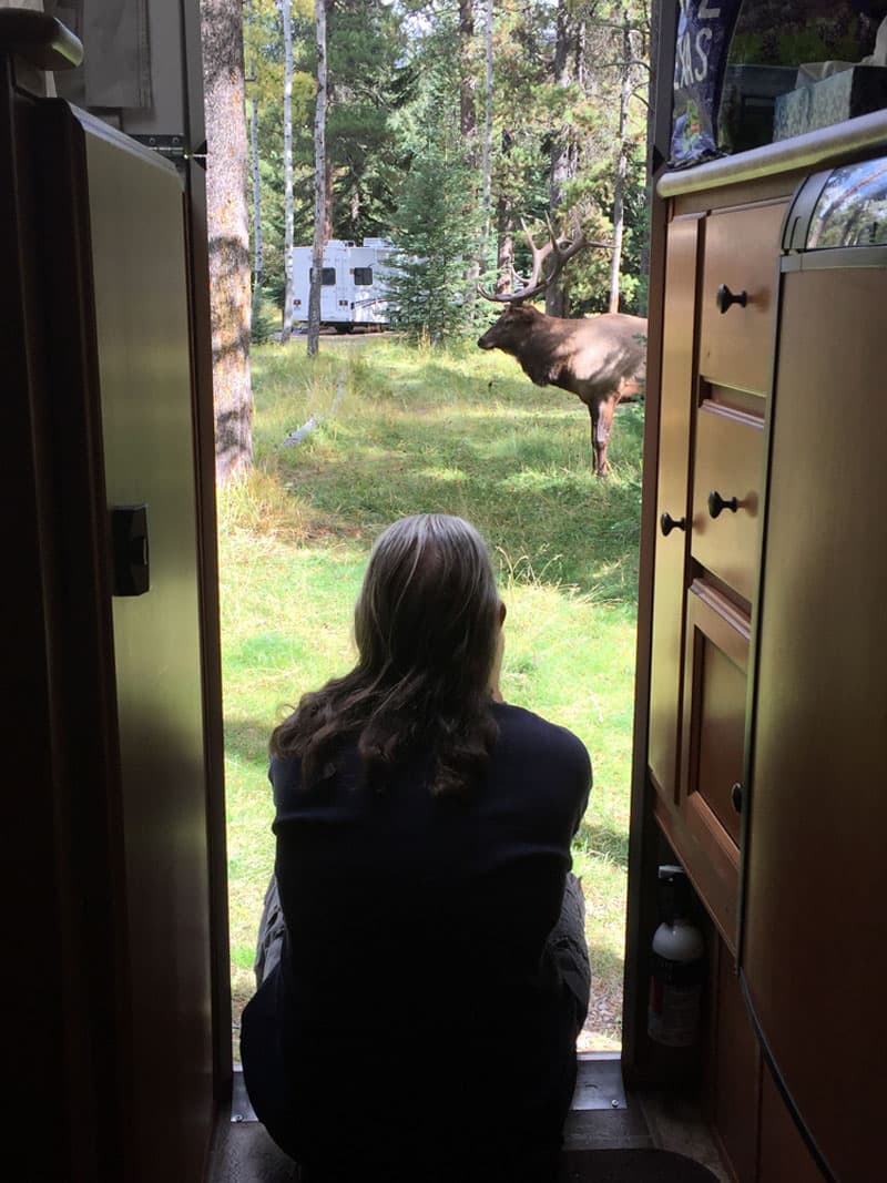 Jasper National Park, Whistler Campground