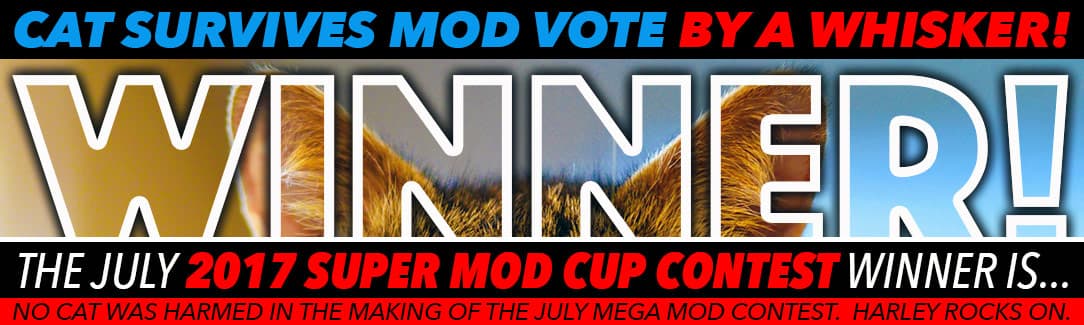 July 2017 mod winner