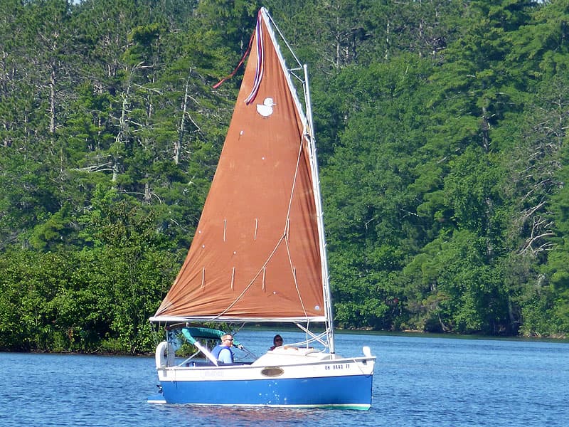 Peep hen sailboat in the water sailing