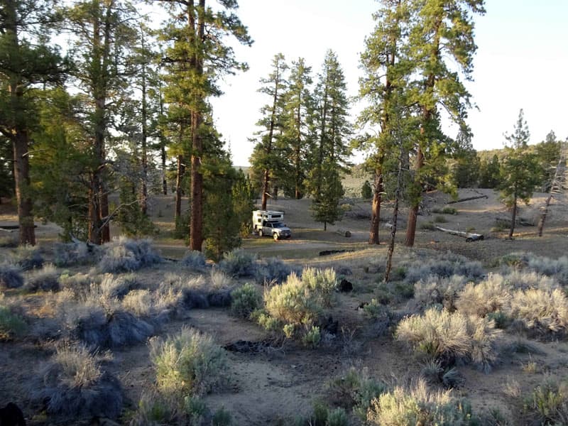 Camp Lost Forest in Oregon