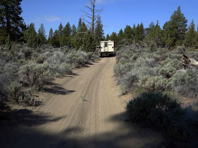 The Lost Forest in Christmas Valley, eastern Oregon