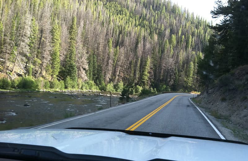 Montana Highway 43 Forest River