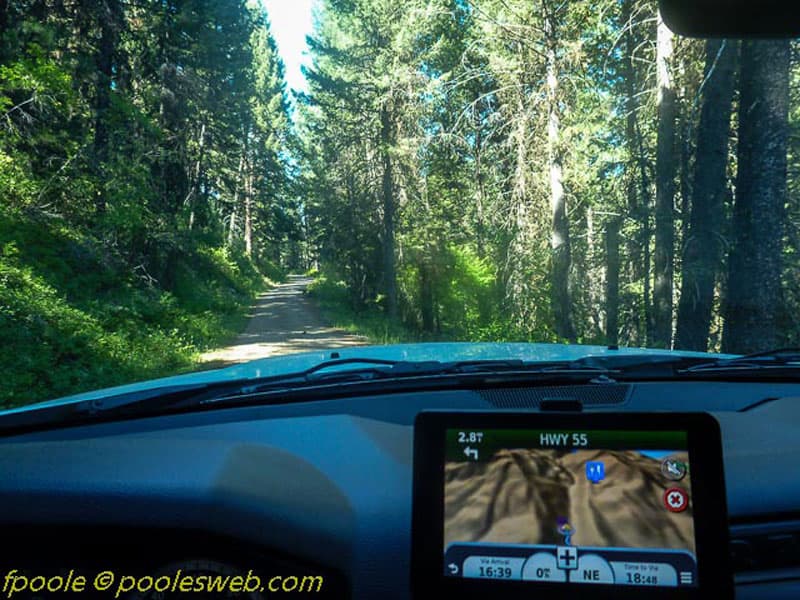 National Forest Service Road 101