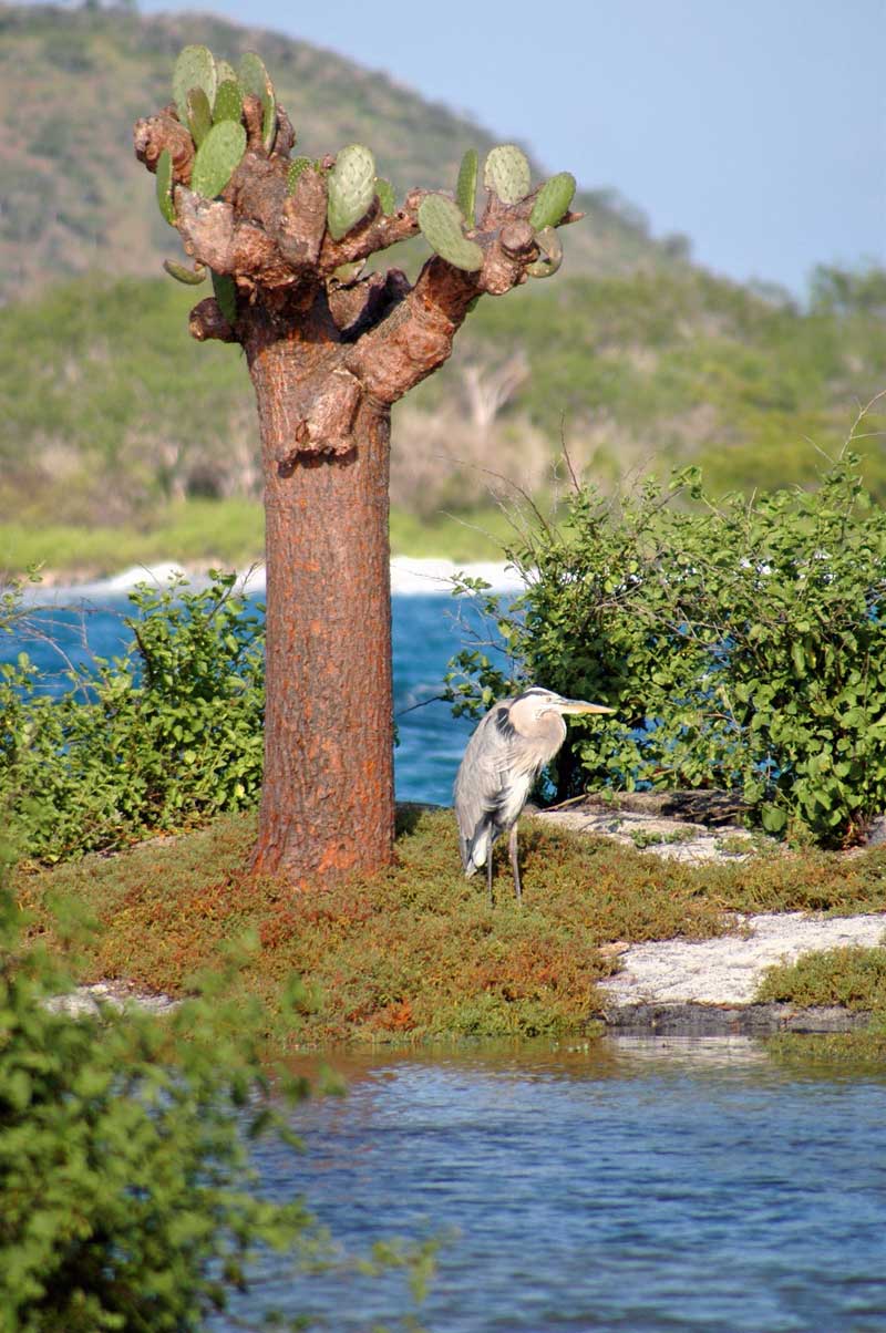 National Geographic Photo