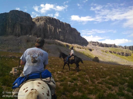 Tetons-Horses6