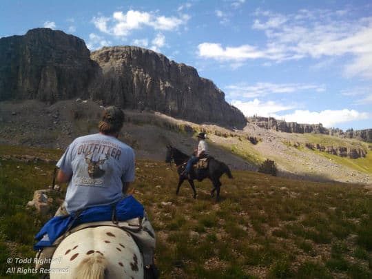 Tetons-Horses6