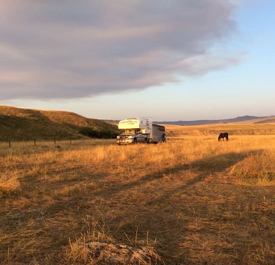 horse-camping-old-man-river-valley