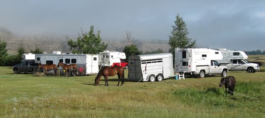 horse-camping-tether-horse