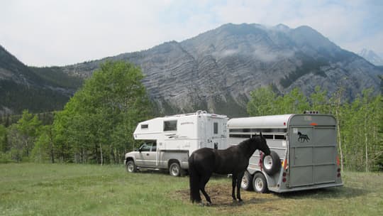 horse-camping-truck-camper