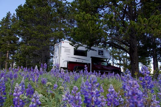 family-camps-Bighorn-Mountains