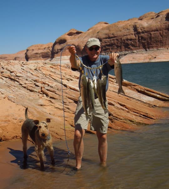 snake-aversion-lake-powell-fish