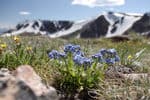 family-camps-Beartooth-Hwy-3