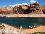 snake-aversion-lake-powell-1