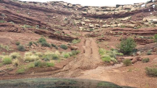 two-track-road-white-rim-rutted-road