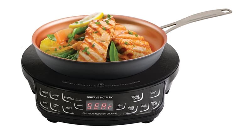 NuWave induction cooktop while camping