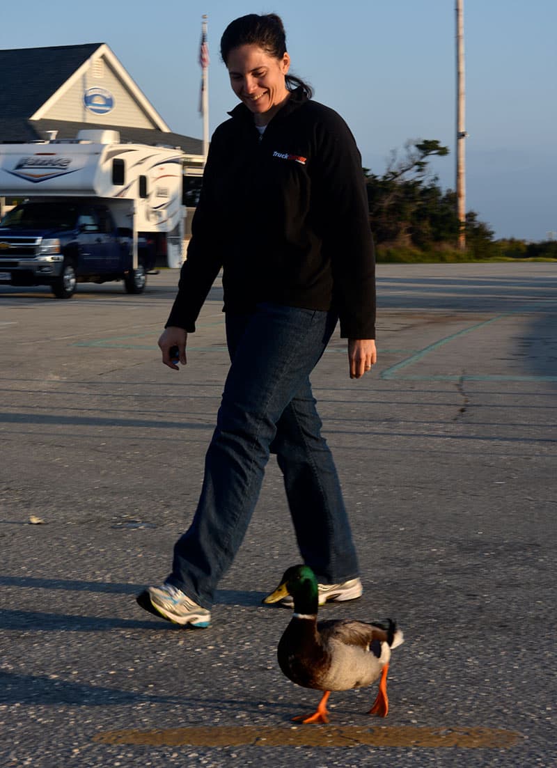 Ocracoke Island Walk With Duck