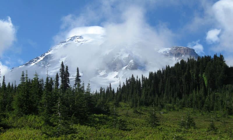 Ohanapecosh campground near Mt. Rainier