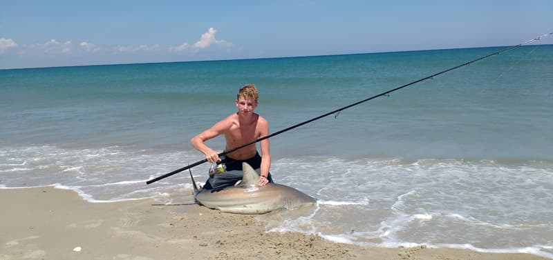 Outer Banks Shark