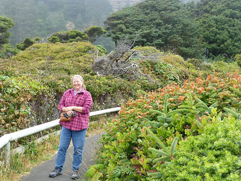 Pacific Ocean, Oregon Coast Drive