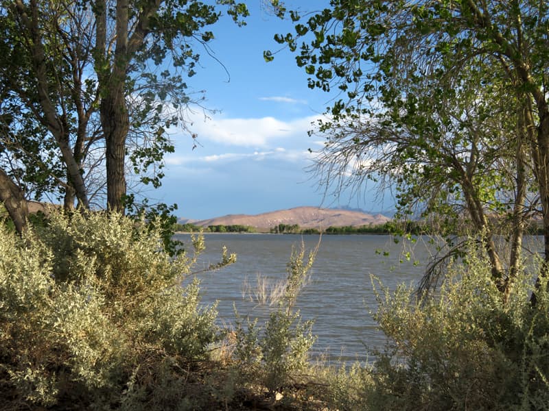 Pahranagat Lake, Nevada