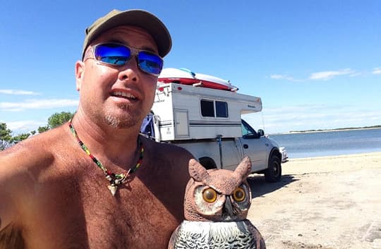 Palomino-pop-up-beach-owl-jeff