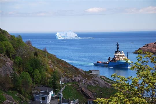 labrador-newfoundland-5