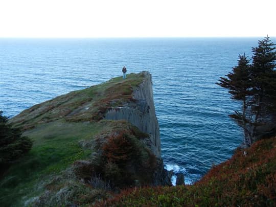 labrador-newfoundland-6