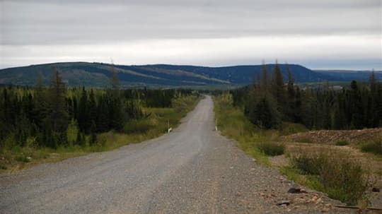 labrador-newfoundland-8