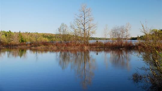 ontario-moonbeam-1