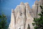 British-Columbia-Mineral-Licks-trail-3
