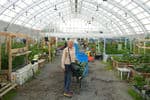 Northwest-Territories-Inuvik-greenhouse-2