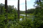 Ontario-quetico-provencial-6