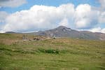 Yukon-caribou-fence-12