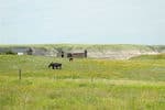 alberta-cowboy-country-4