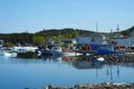 labrador-newfoundland-10