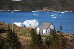 labrador-newfoundland-11