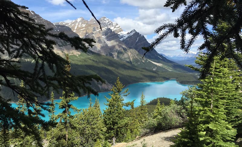 Peyto Lake from Bow Summit