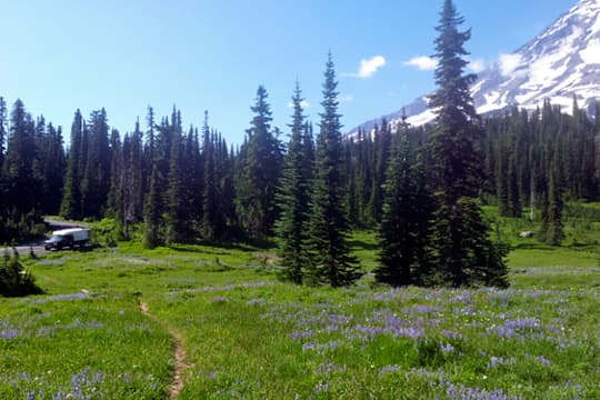 world-ready-rig-Mt-Rainier-Paradise-Picnic