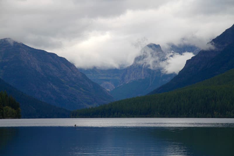 Bowman Lake Glacier Montana